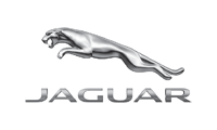 Winnipeg Jaguar