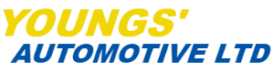 Dealer Logo