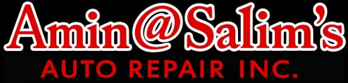 Amin @ Salim's Auto Repair logo