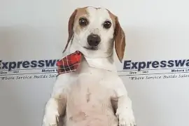 Member Photo - Dexter