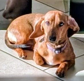 Member Photo - Hazel