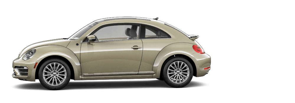 2019-beetle