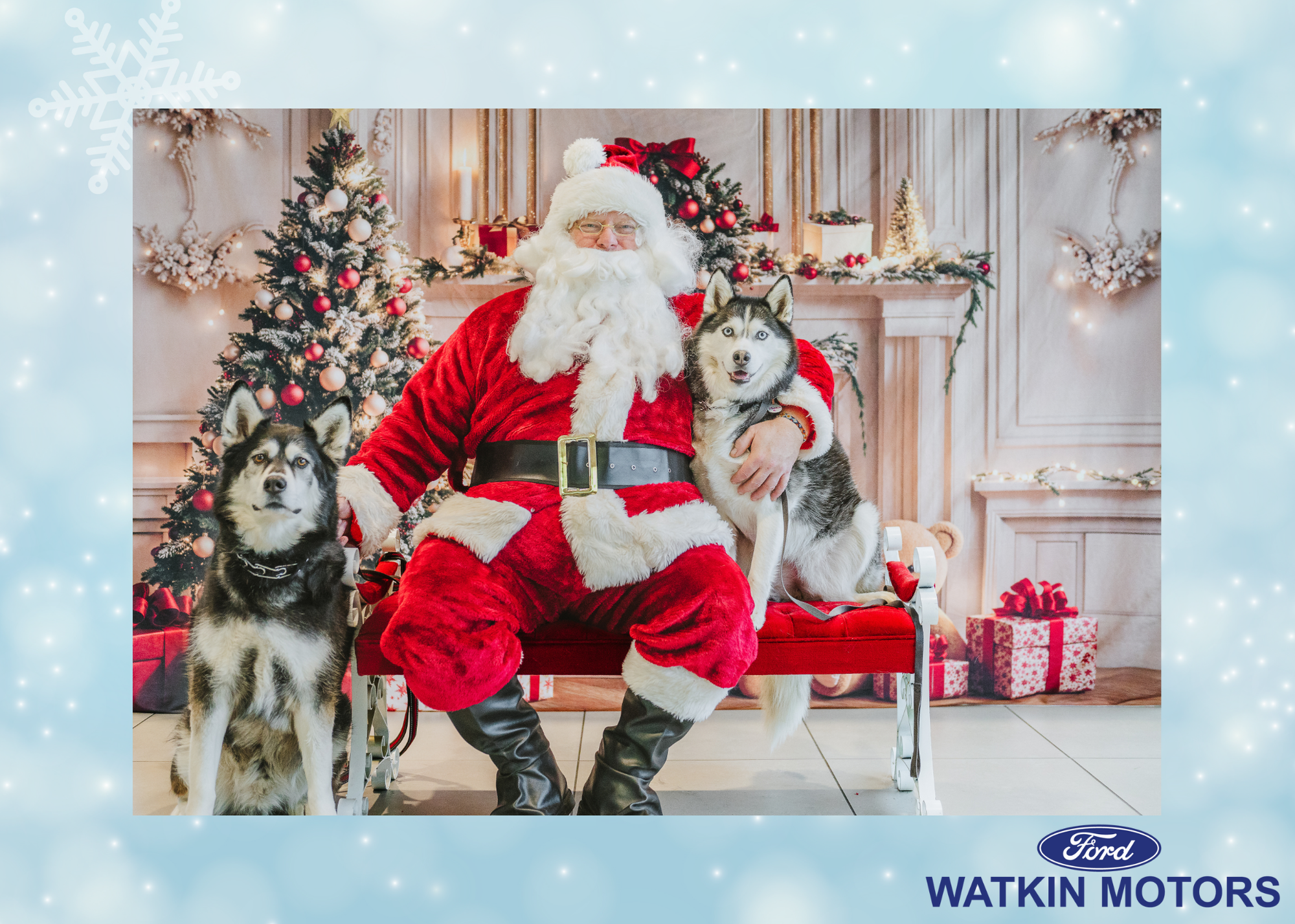 Santa Paws Photos | Watkin Motors Ford