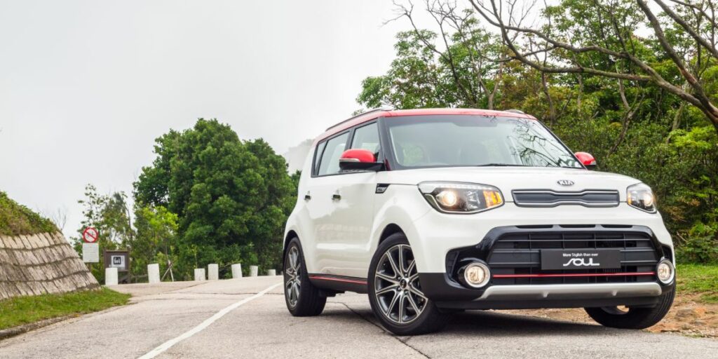 2017 kia soul. Great car for dogs.